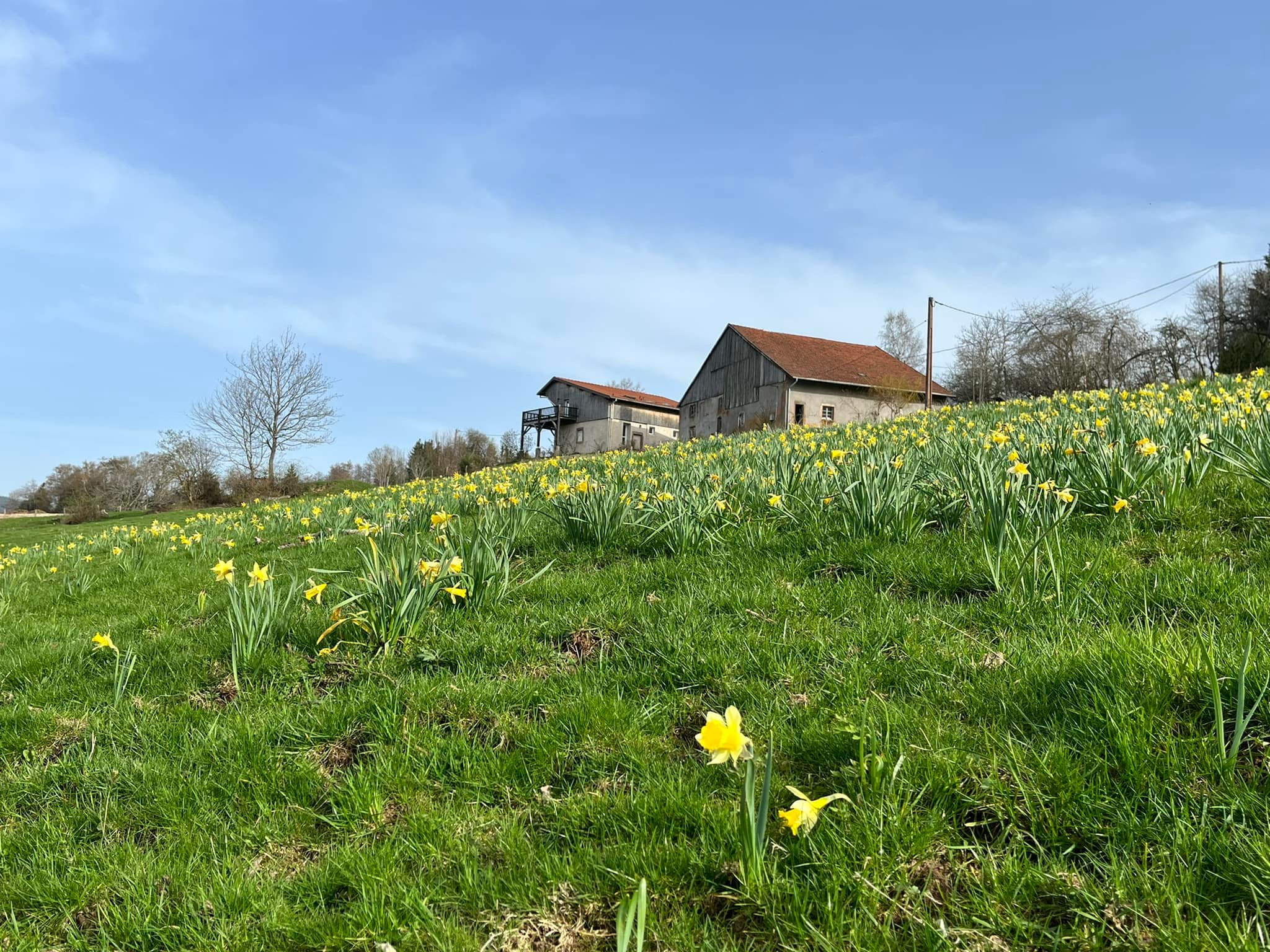 Gîtes de la féculerie de Noirgoutte