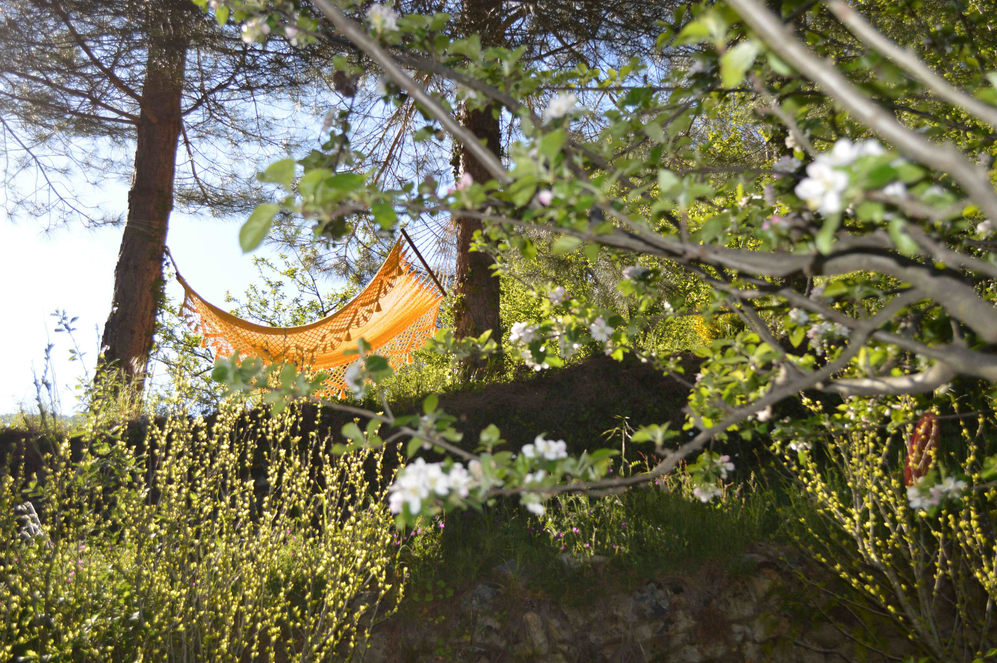 GreenGo Votre maison ardéchoise en pleine nature dans un eco-lieu