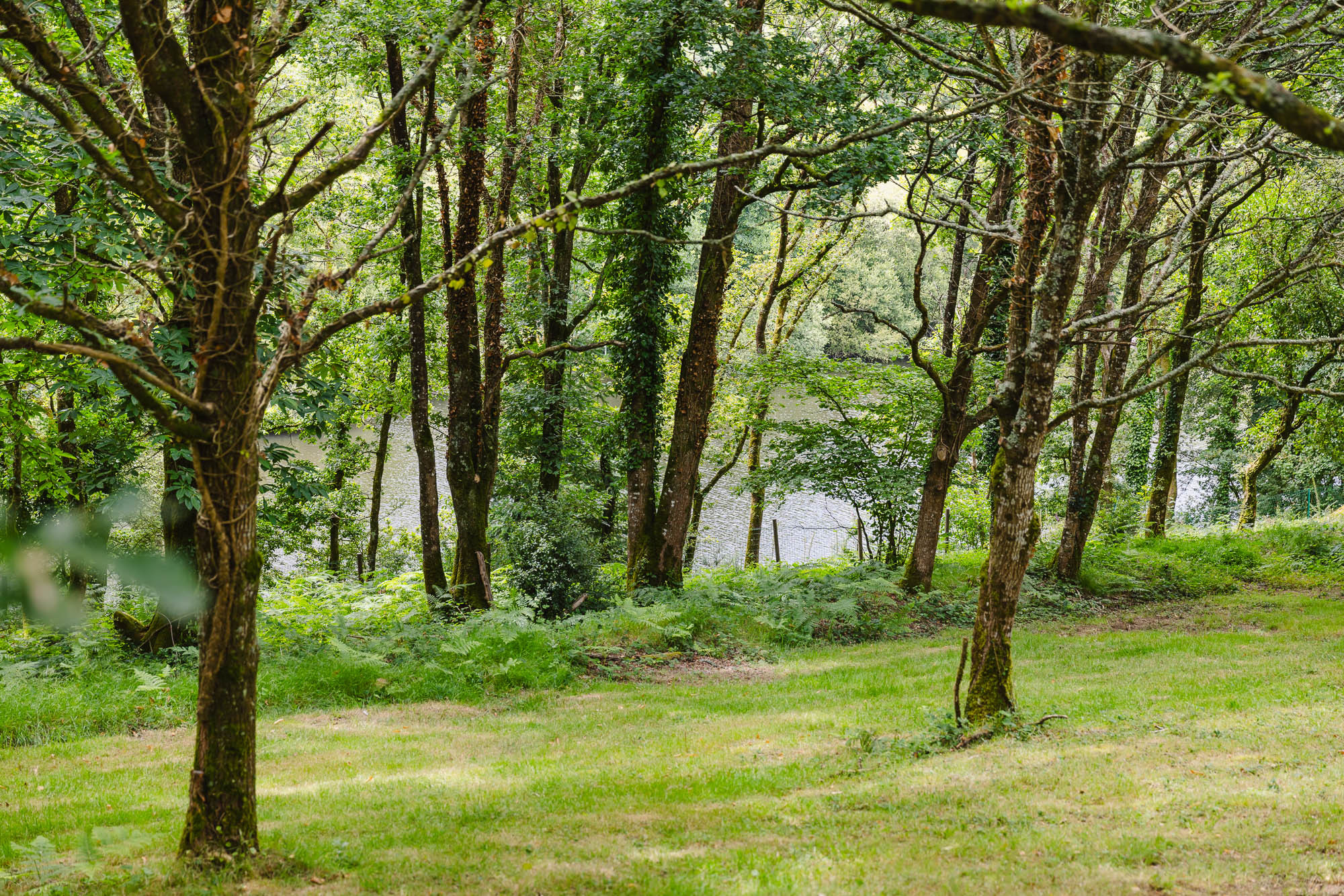 GreenGo Logement insolite Bretagne Glamping