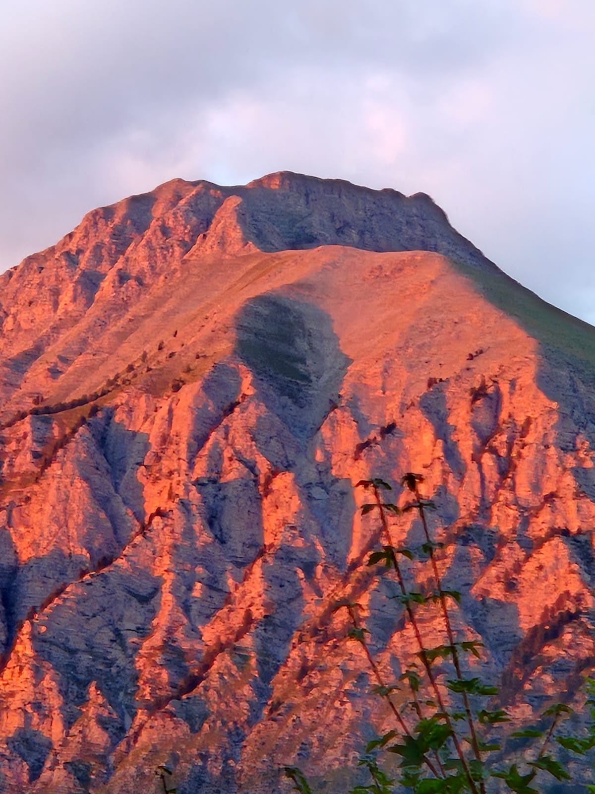  Alpes-de-Haute-Provence En forêt