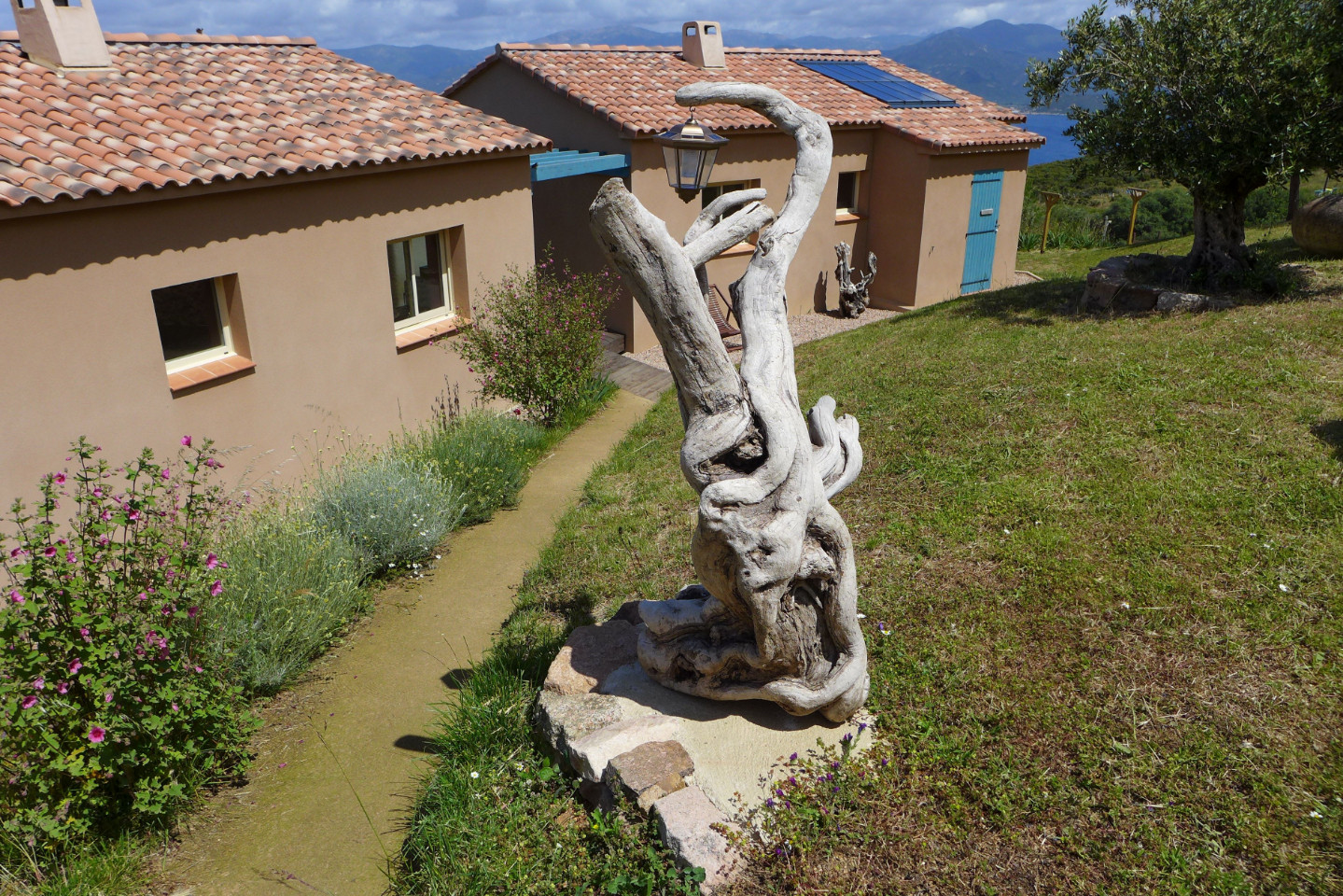 GreenGo Gîte Corse Évasion