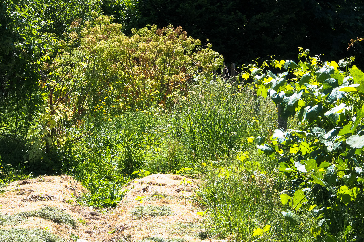 Chambre d’hôtes Haute-Vienne En forêt