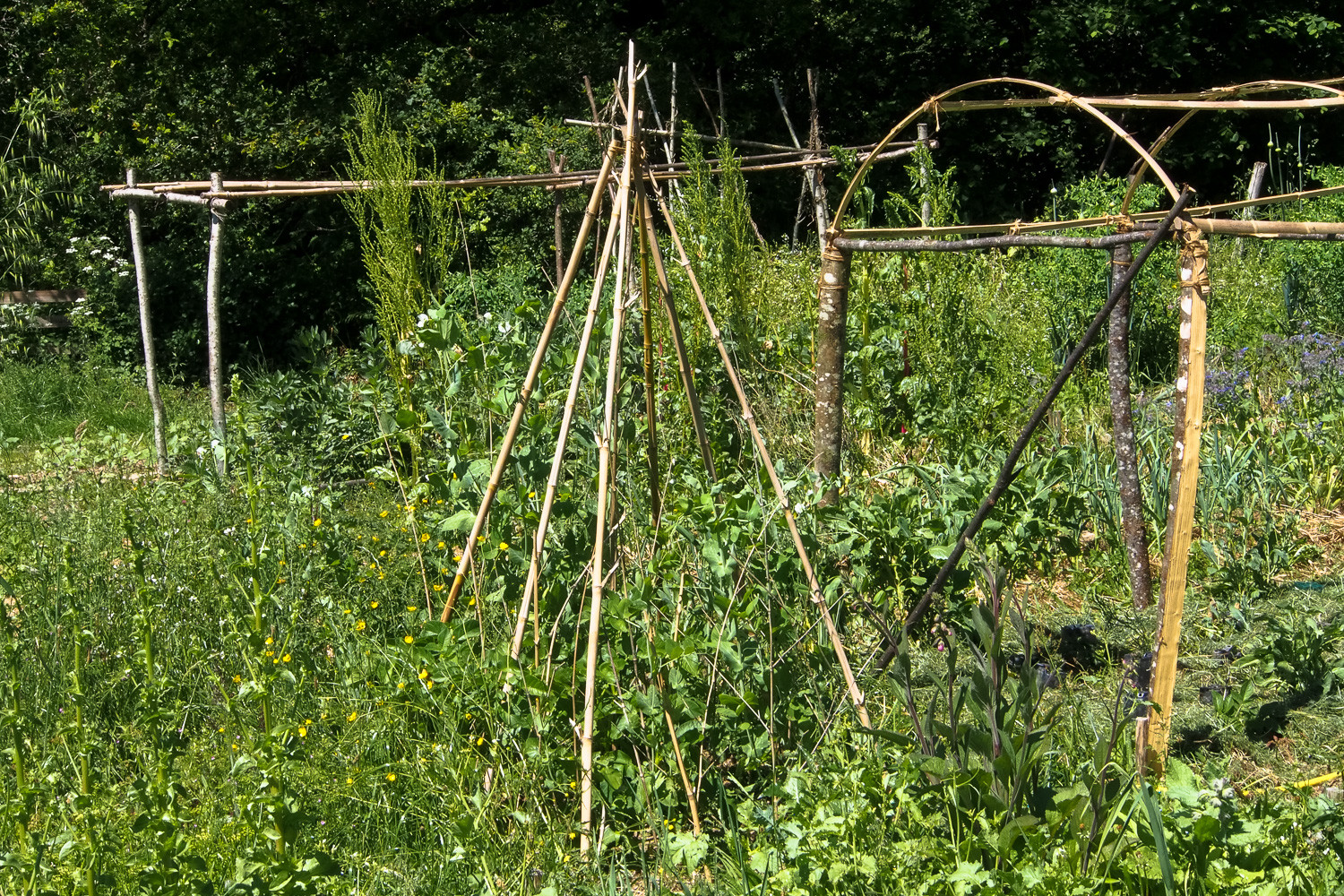 GreenGo Gîte Nouvelle-Aquitaine À la campagne