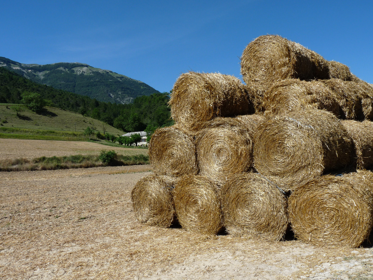 GreenGo Gîte Auvergne-Rhône-Alpes Évasion