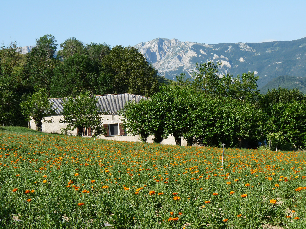 GreenGo La ferme des touzons