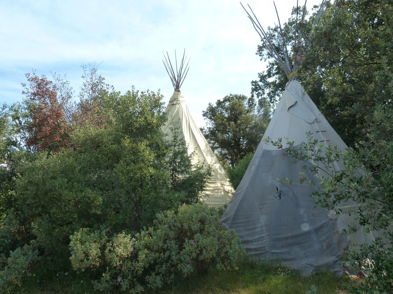 Camping Gard Entre amis