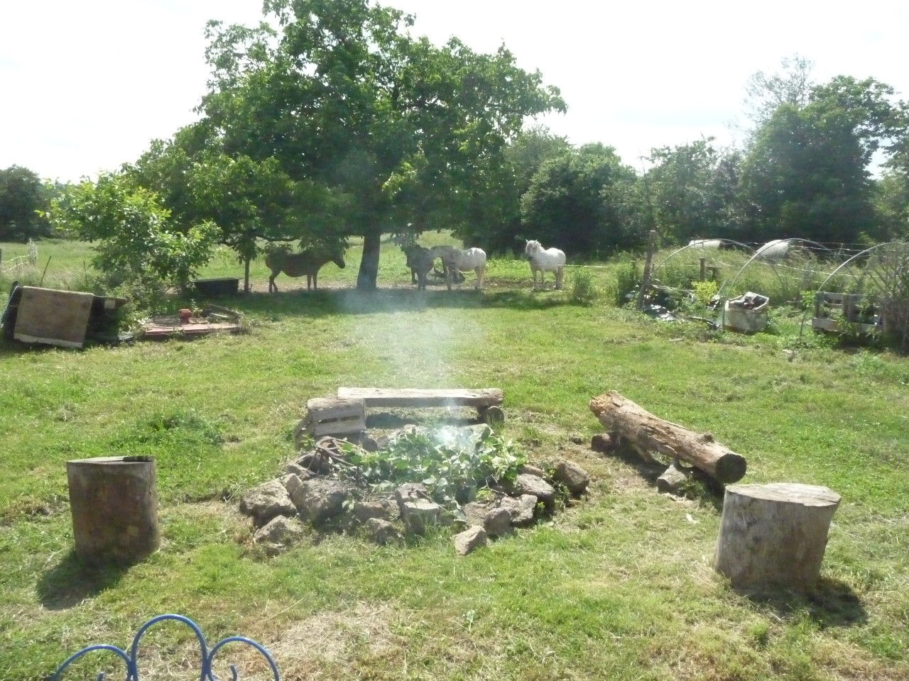 GreenGo location vacances écoresponsables