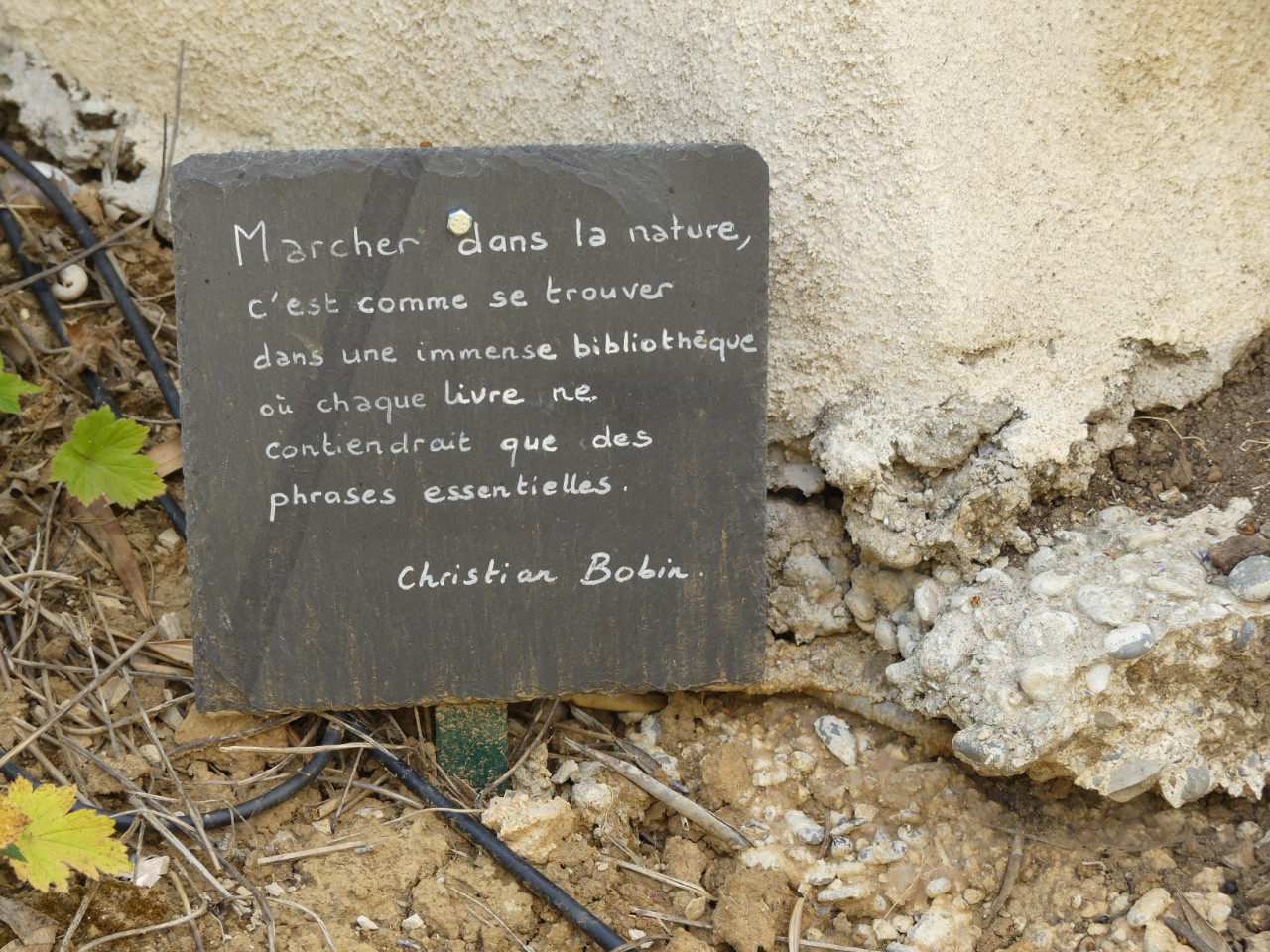  Bouches-du-Rhône Romantique