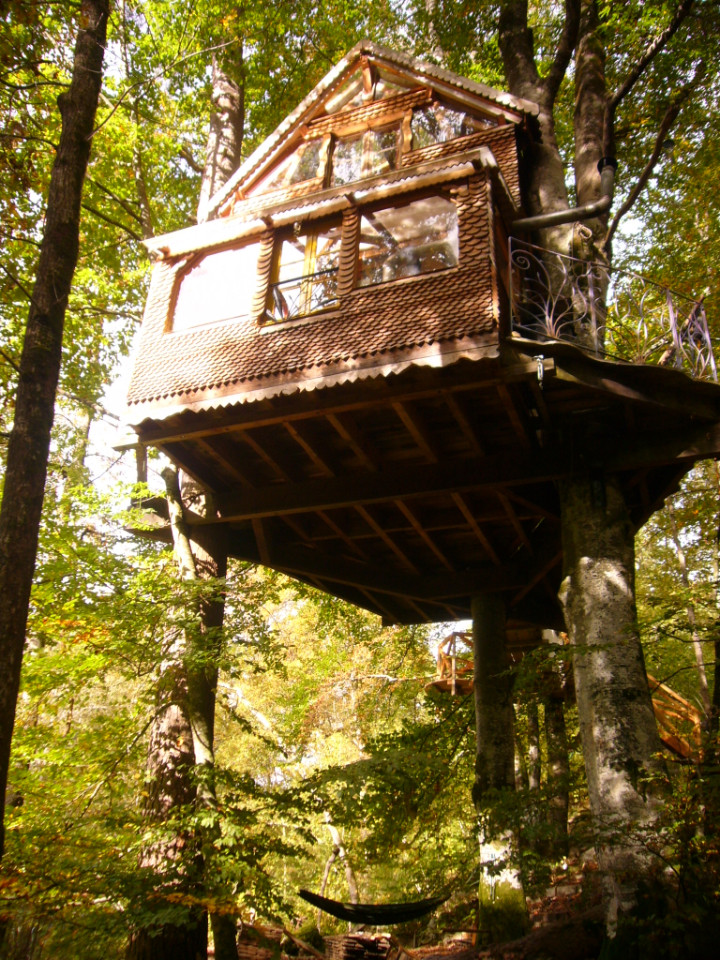 L'Ecosource Arboricole