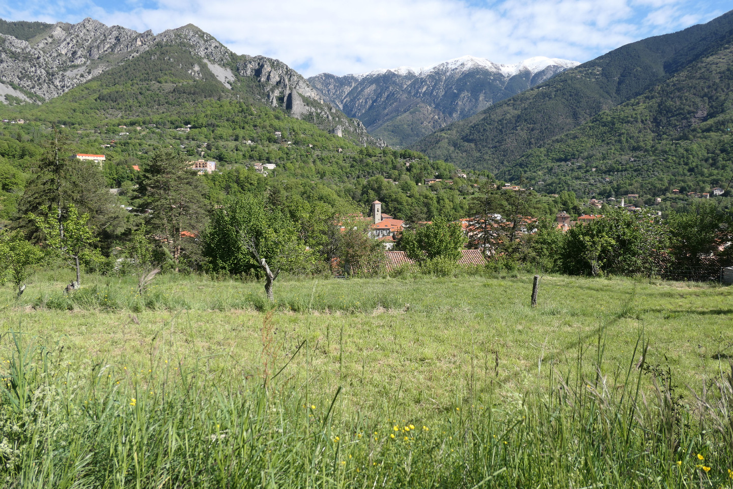 Location Alpes-Maritimes En forêt
