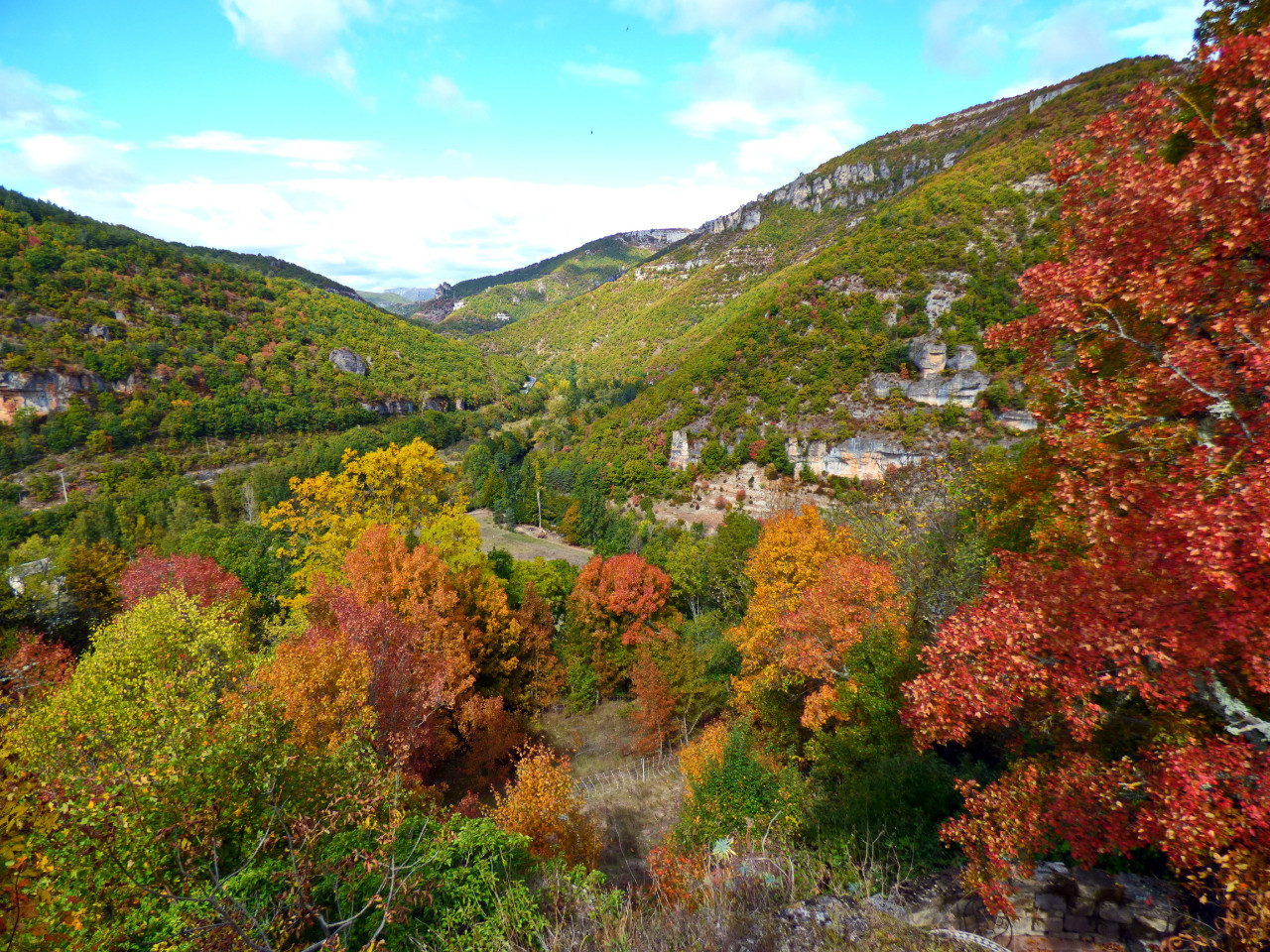 Location Aveyron À la campagne