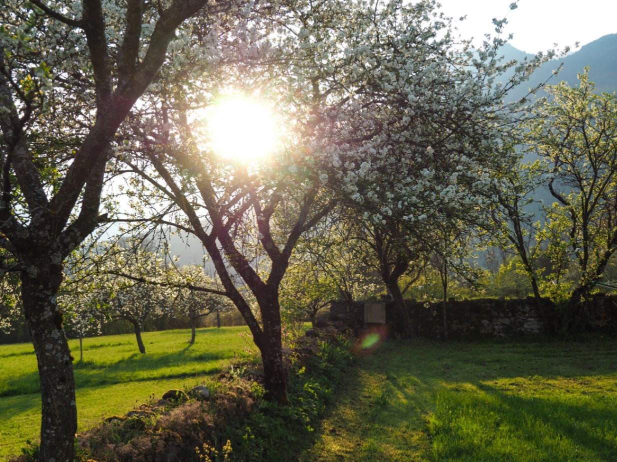 GreenGo Gites des Rapilles