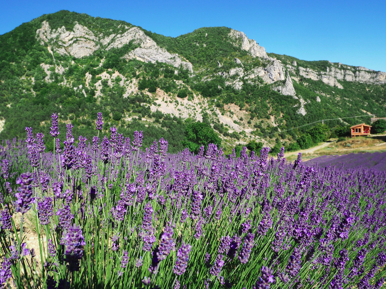 Hôte GreenGo: Izon Nature
