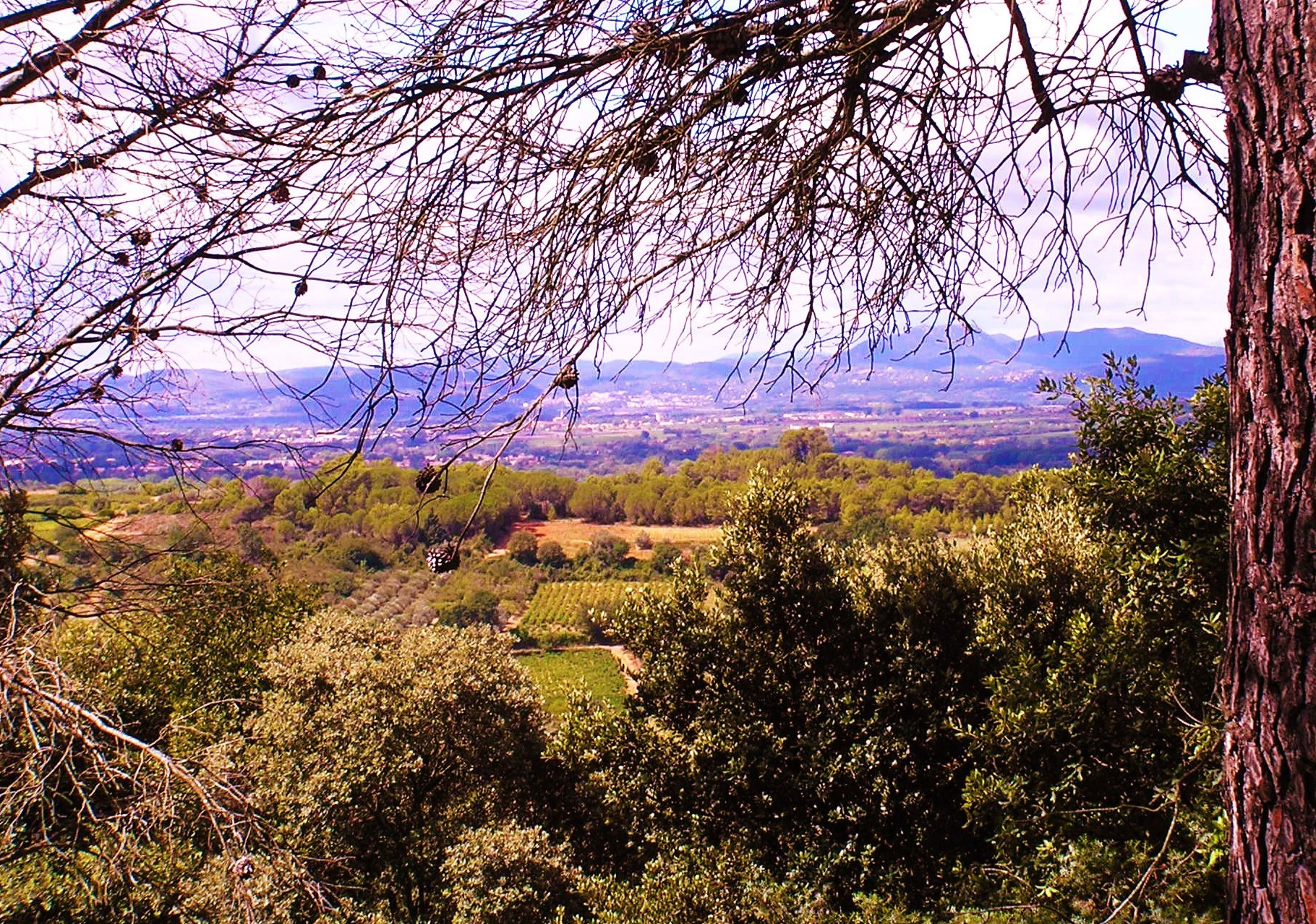 GreenGo Gîte Occitanie Évasion