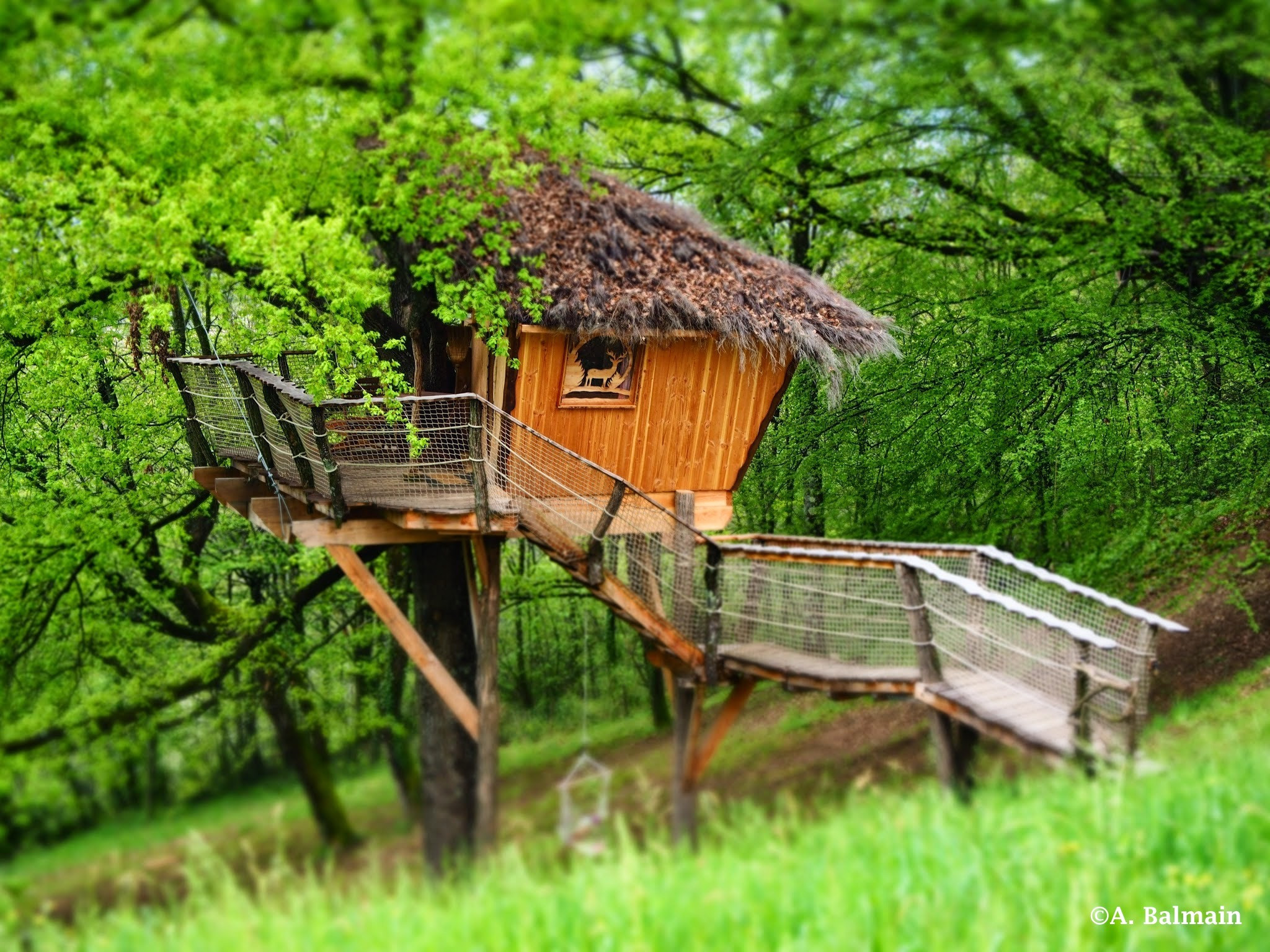 Hôte GreenGo: Les cabanes de Carpat
