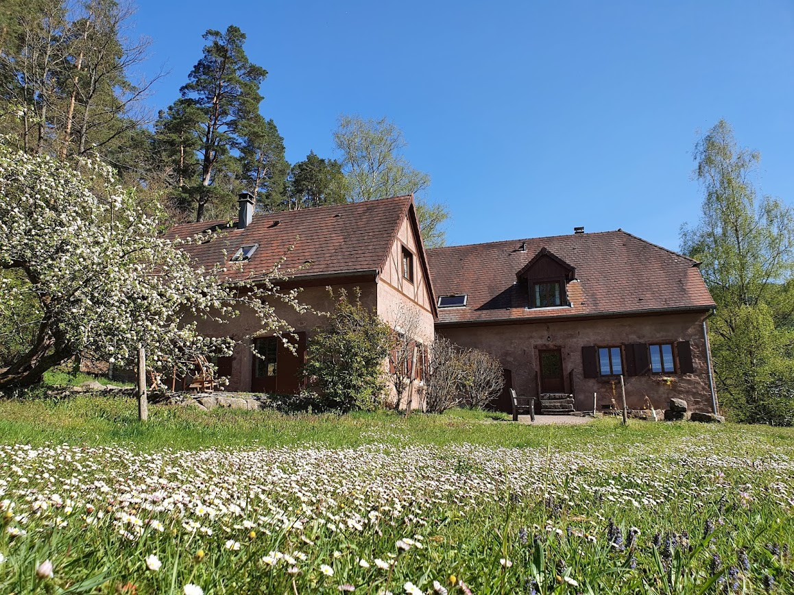 GreenGo La ferme de la fontaine - Ferme de 1880 en grès rose en pleine nature au coeur de l'Alsace