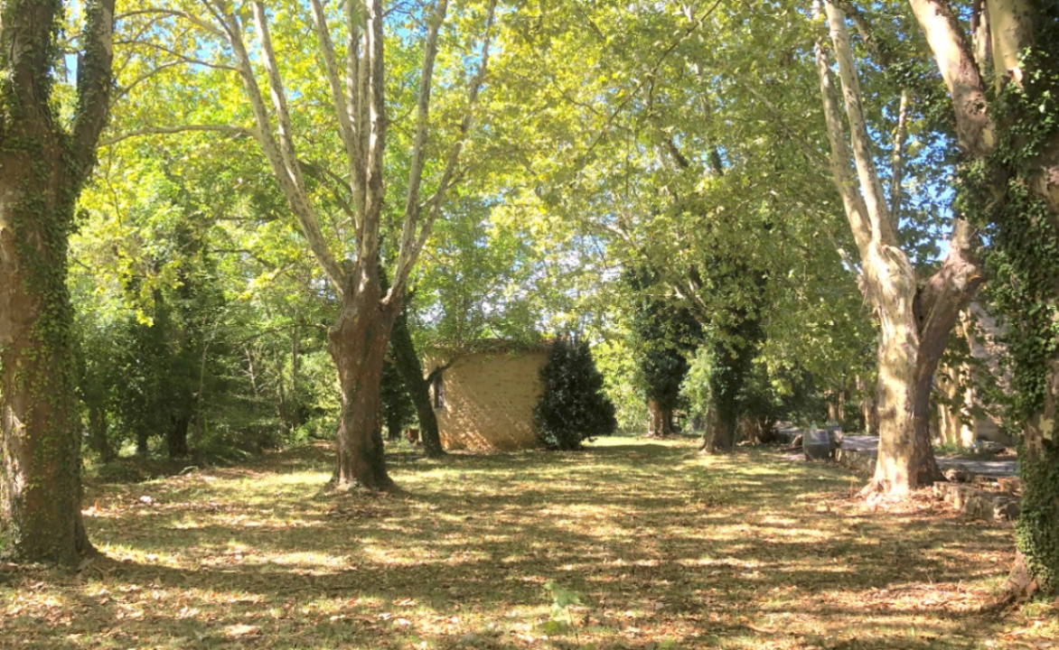 GreenGo location vacances écoresponsables