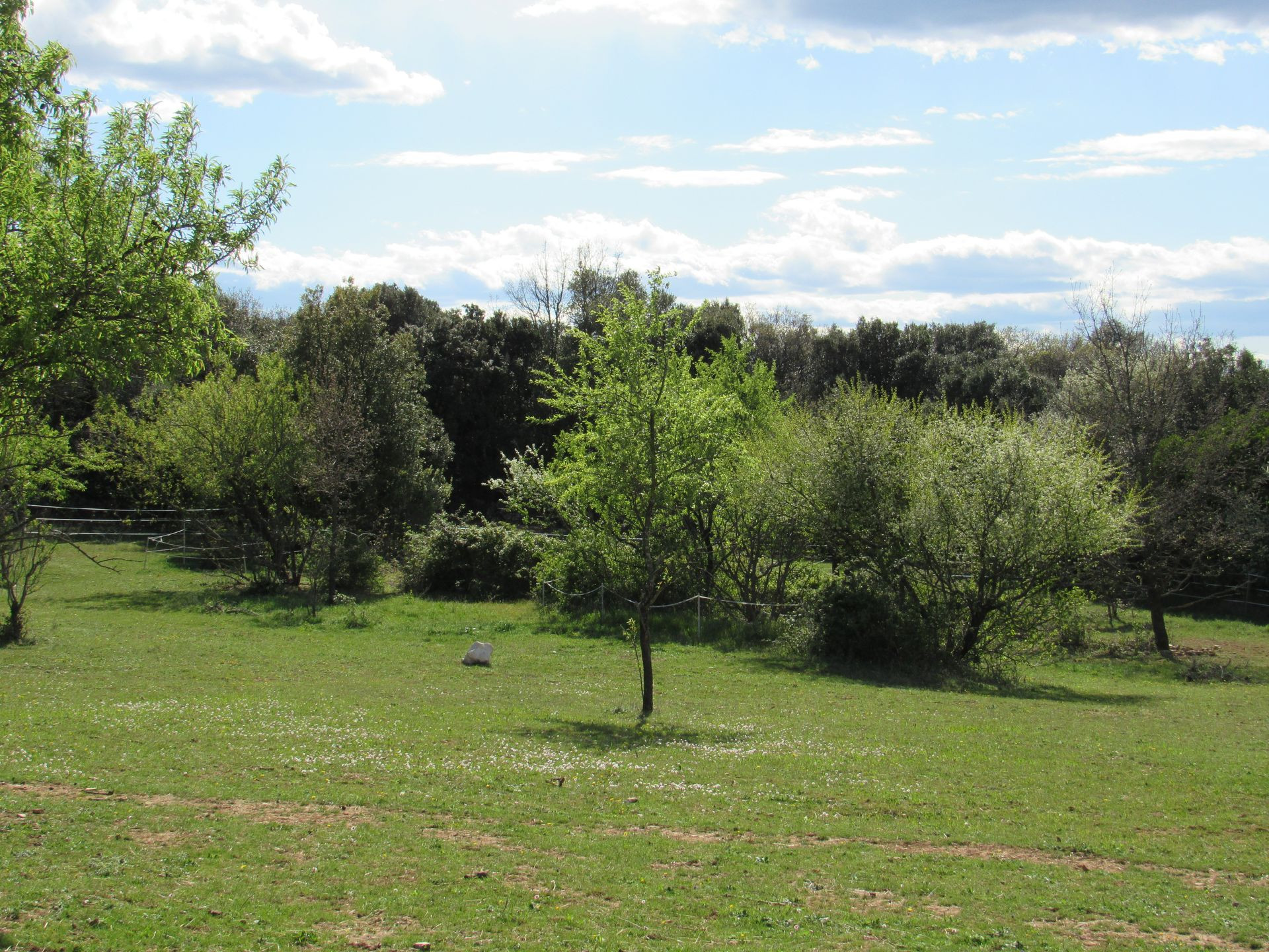 GreenGo location vacances écoresponsables