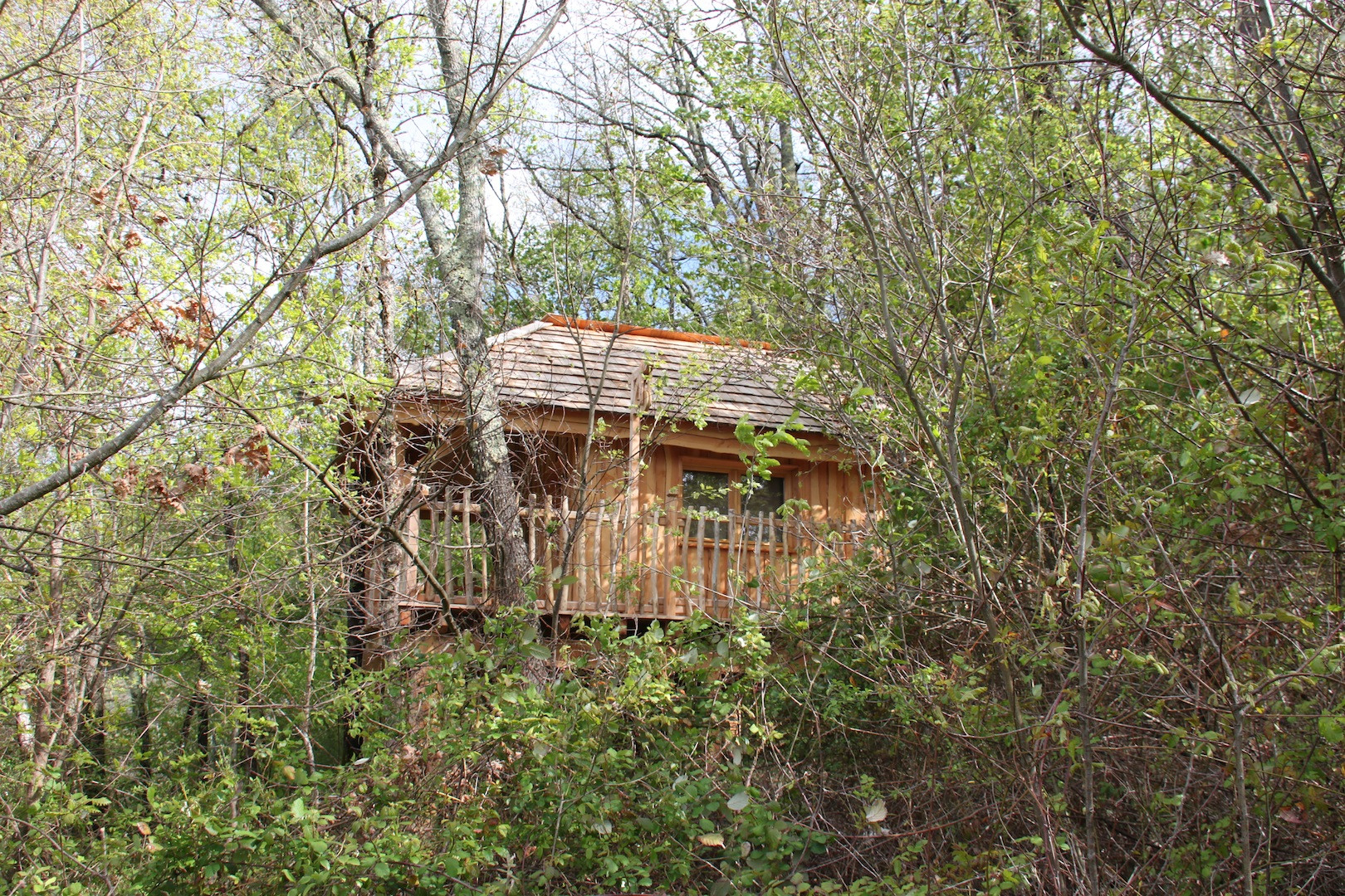 GreenGo location vacances écoresponsables