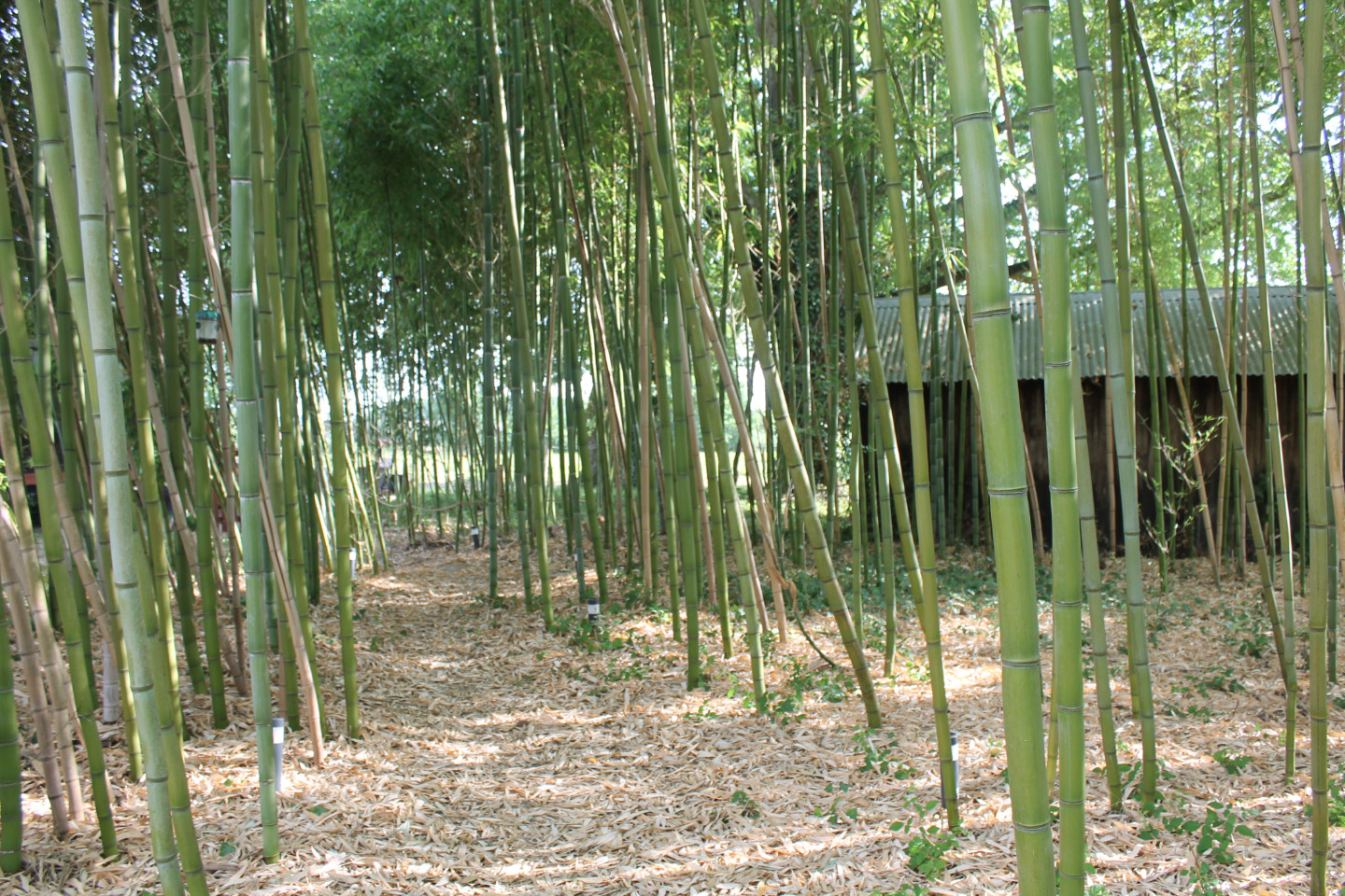 GreenGo location vacances écoresponsables