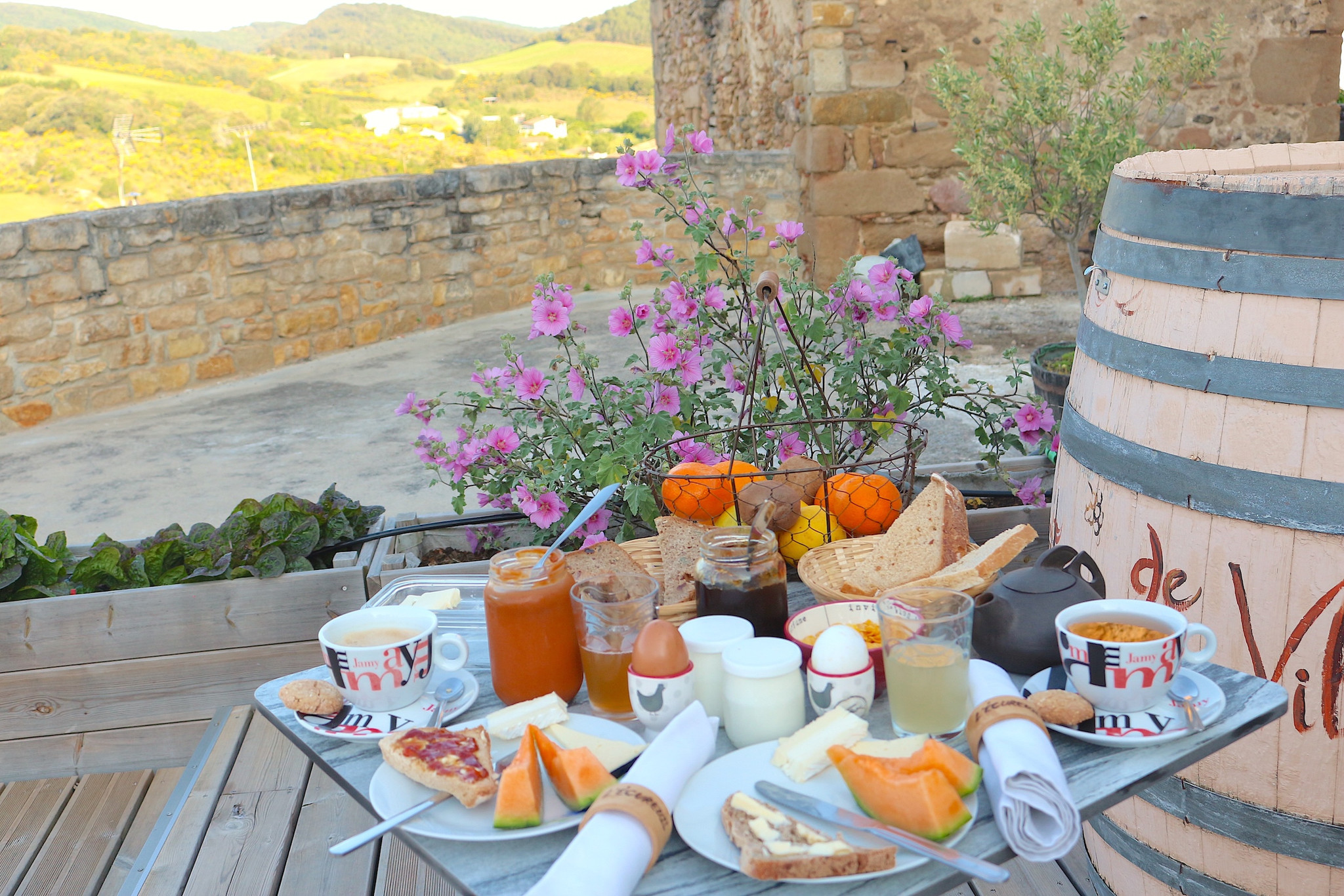 Chambre d’hôtes Aude À la campagne