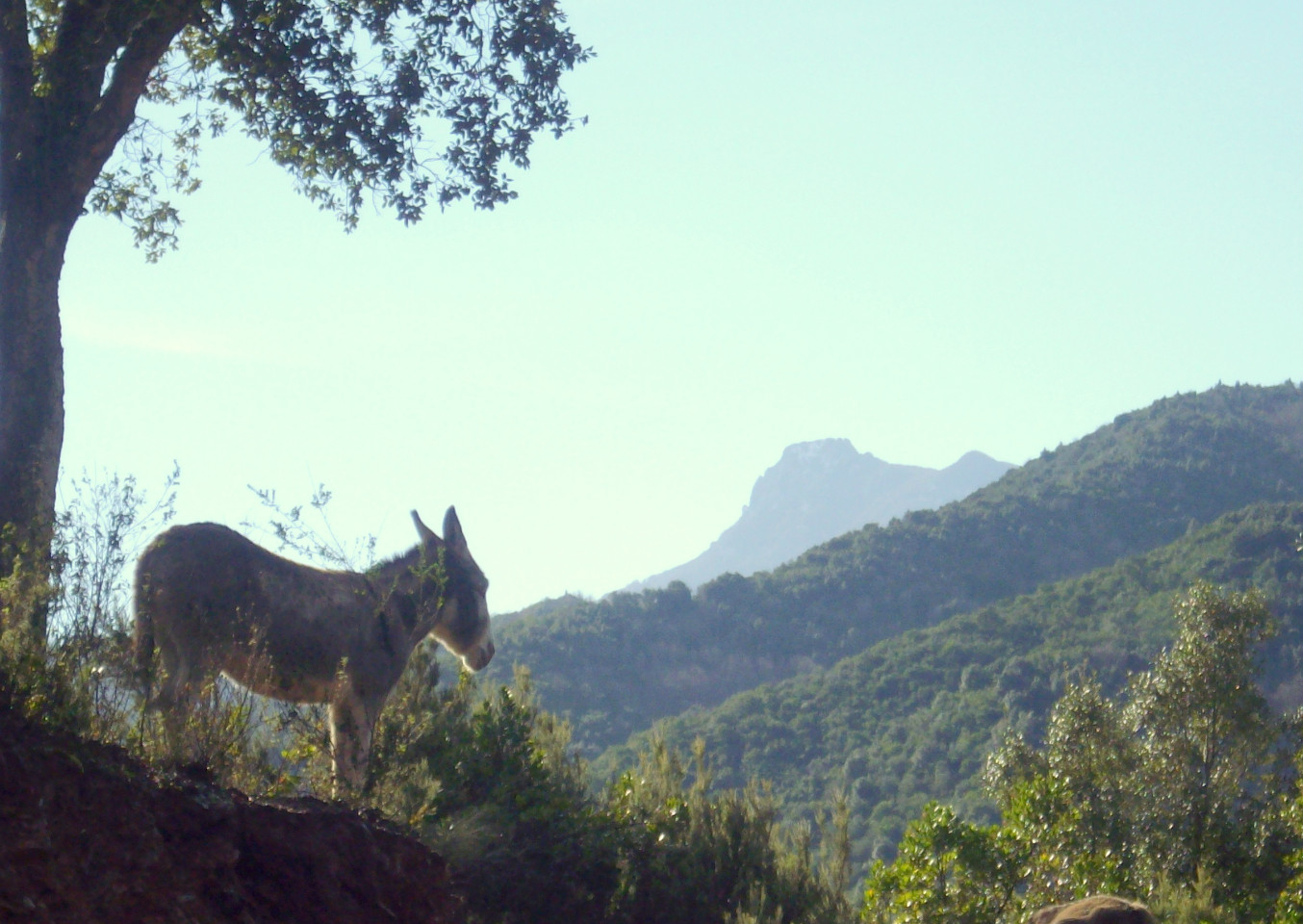 GreenGo location vacances écoresponsables