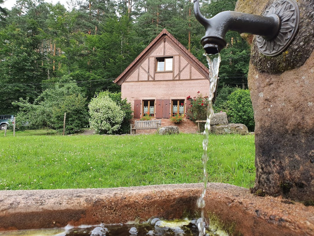 GreenGo Gîte Grand Est Évasion