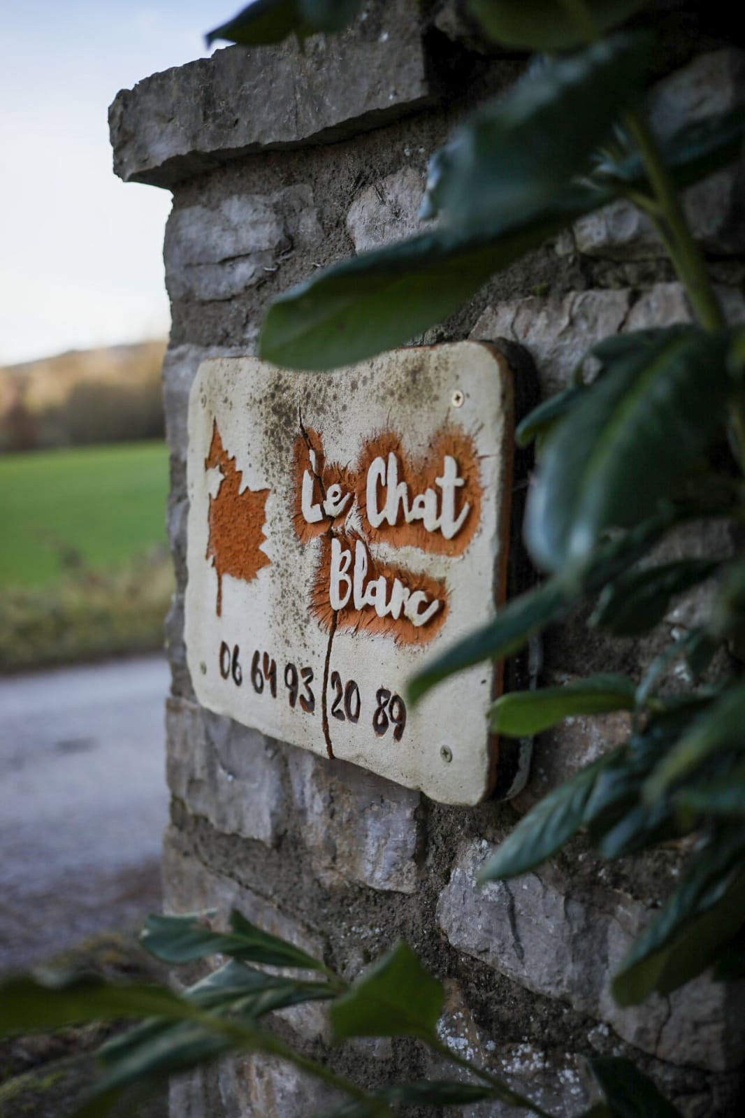 GreenGo Gîte Occitanie Évasion