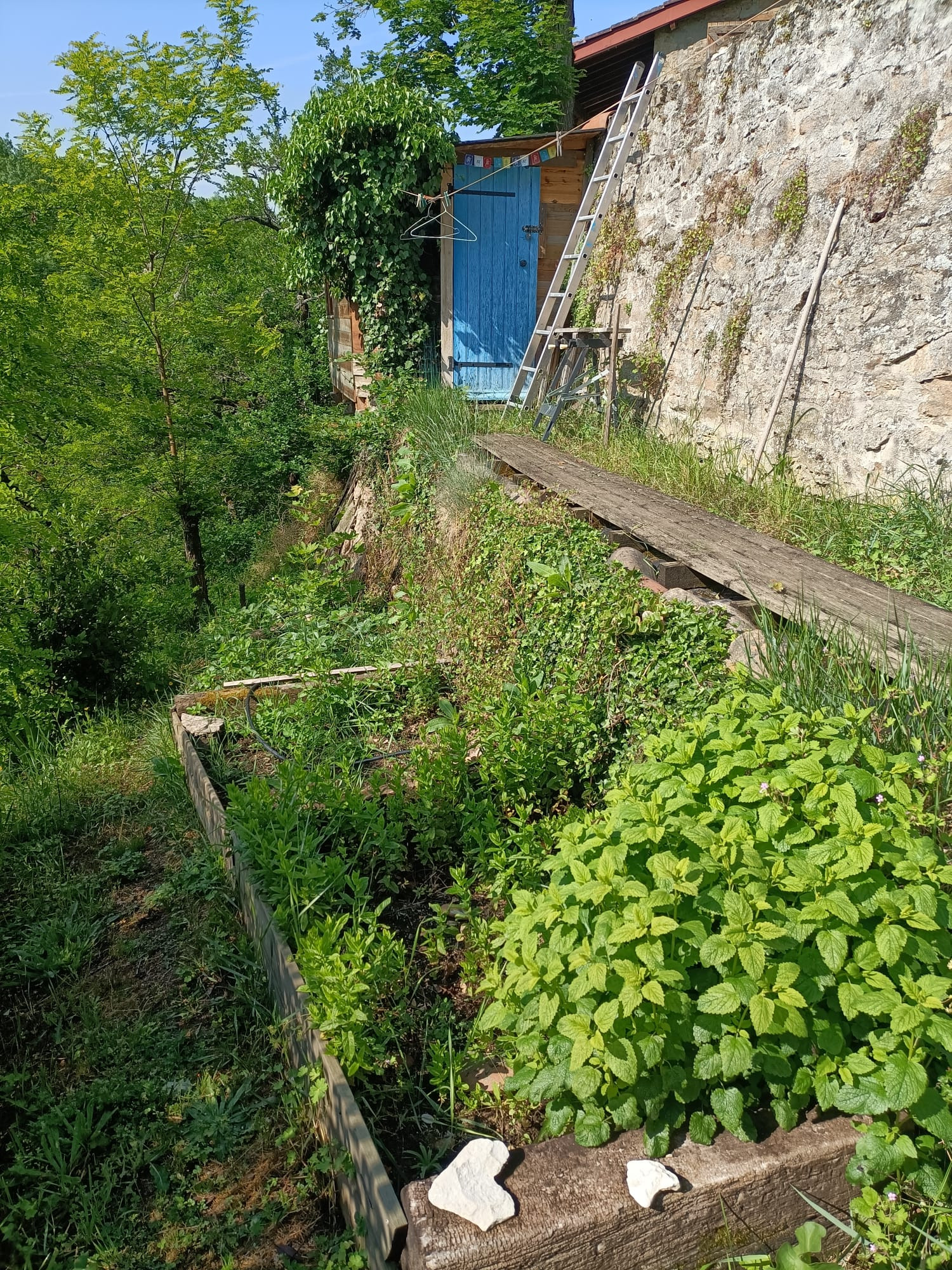 GreenGo Chambre d’hôtes Auvergne-Rhône-Alpes Évasion
