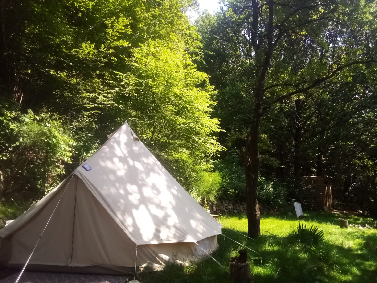 GreenGo Tipis en pleine forêt