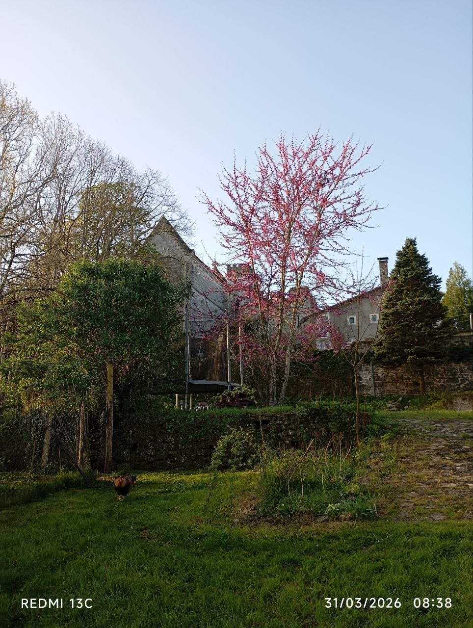 Charente À la campagne