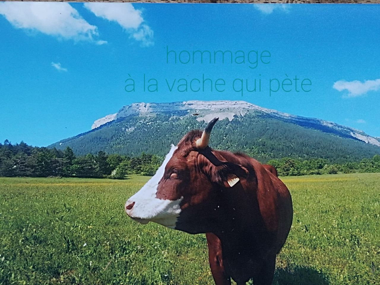 Hôte GreenGo: Entre lac et falaise – Insolites & Rénovations