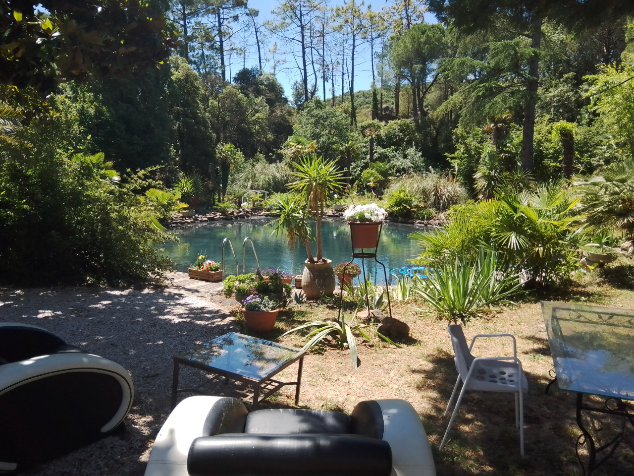 Hôte GreenGo: Verd Paradis