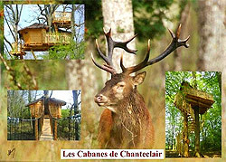 Les cabanes de chanteclair
