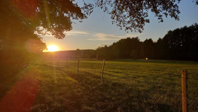Sarthe En forêt