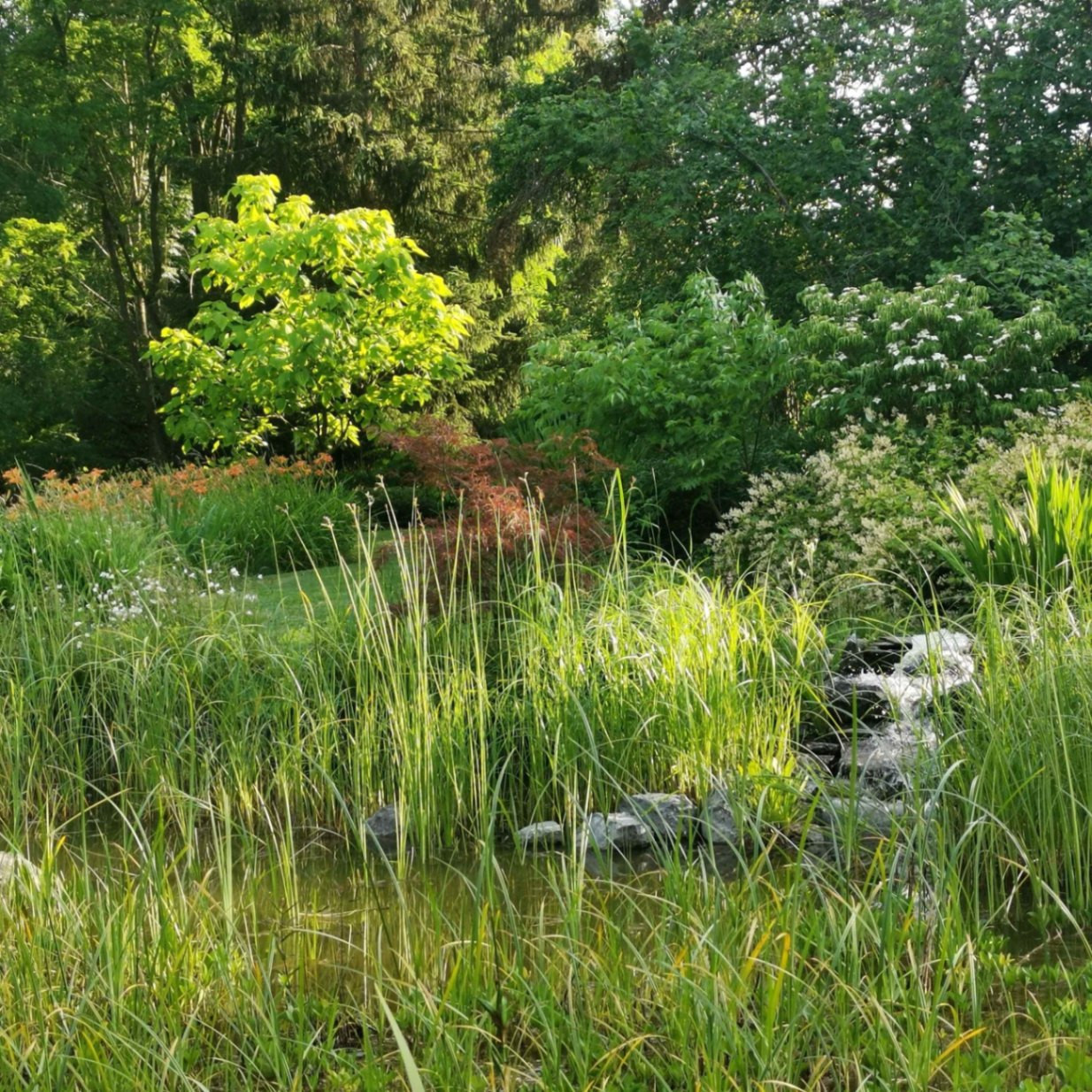 GreenGo Le jardin du petit gonio