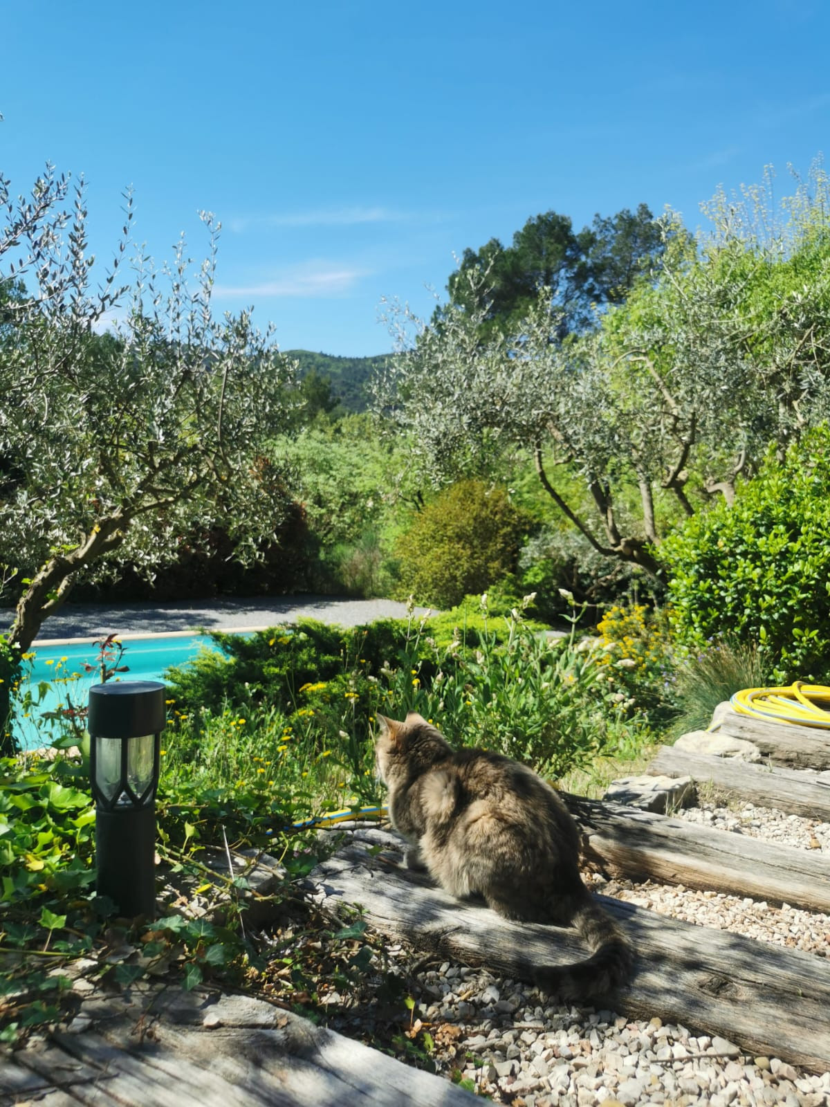GreenGo location vacances écoresponsables