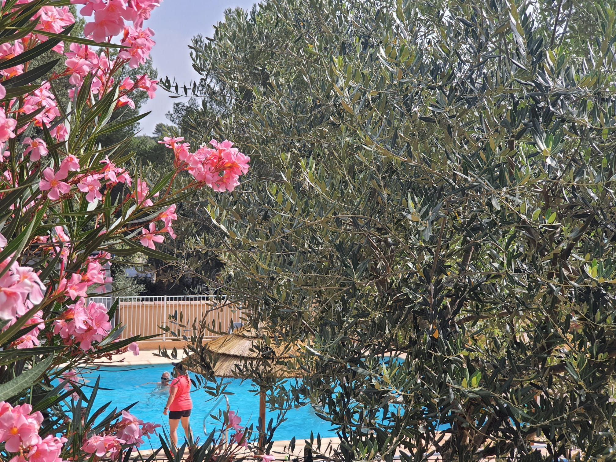 Camping Var Entre amis