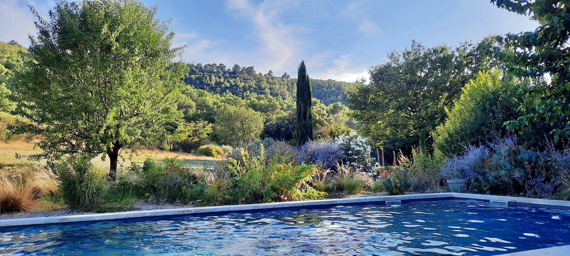 GreenGo Le Chat dans la Bastide
