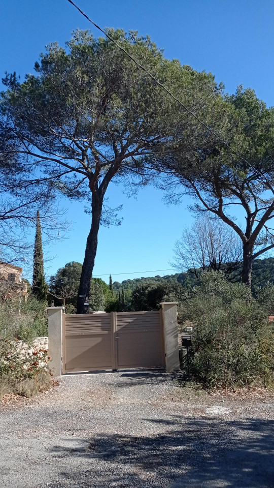Les Cigales
