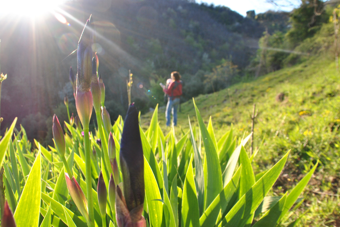 Ardèche Romantique