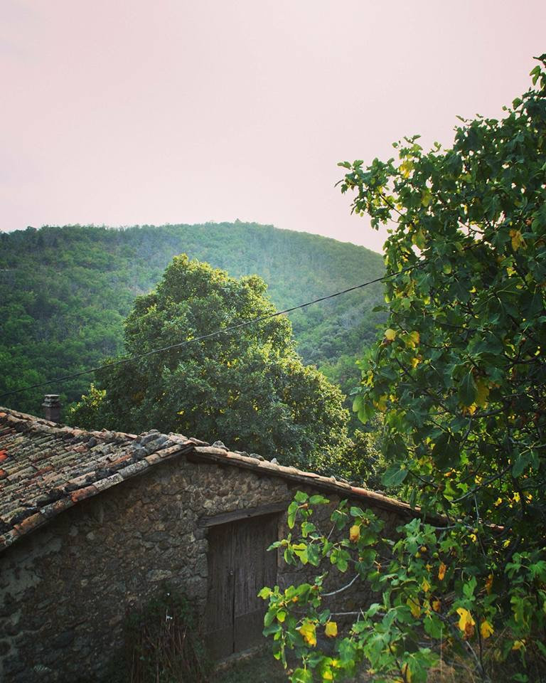 GreenGo location vacances écoresponsables