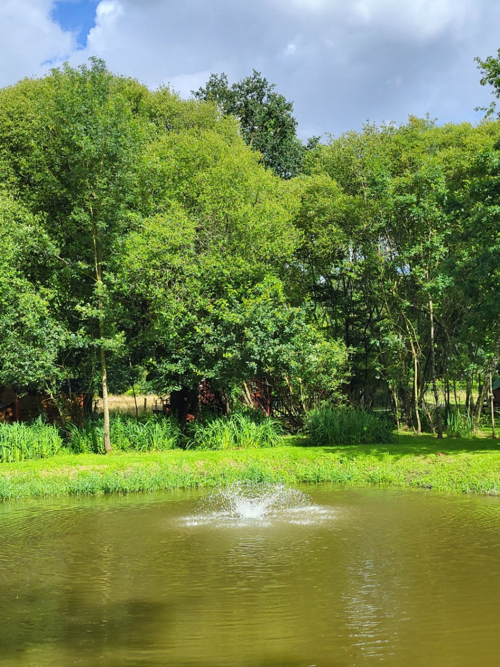 GreenGo Les roulottes de la rivière