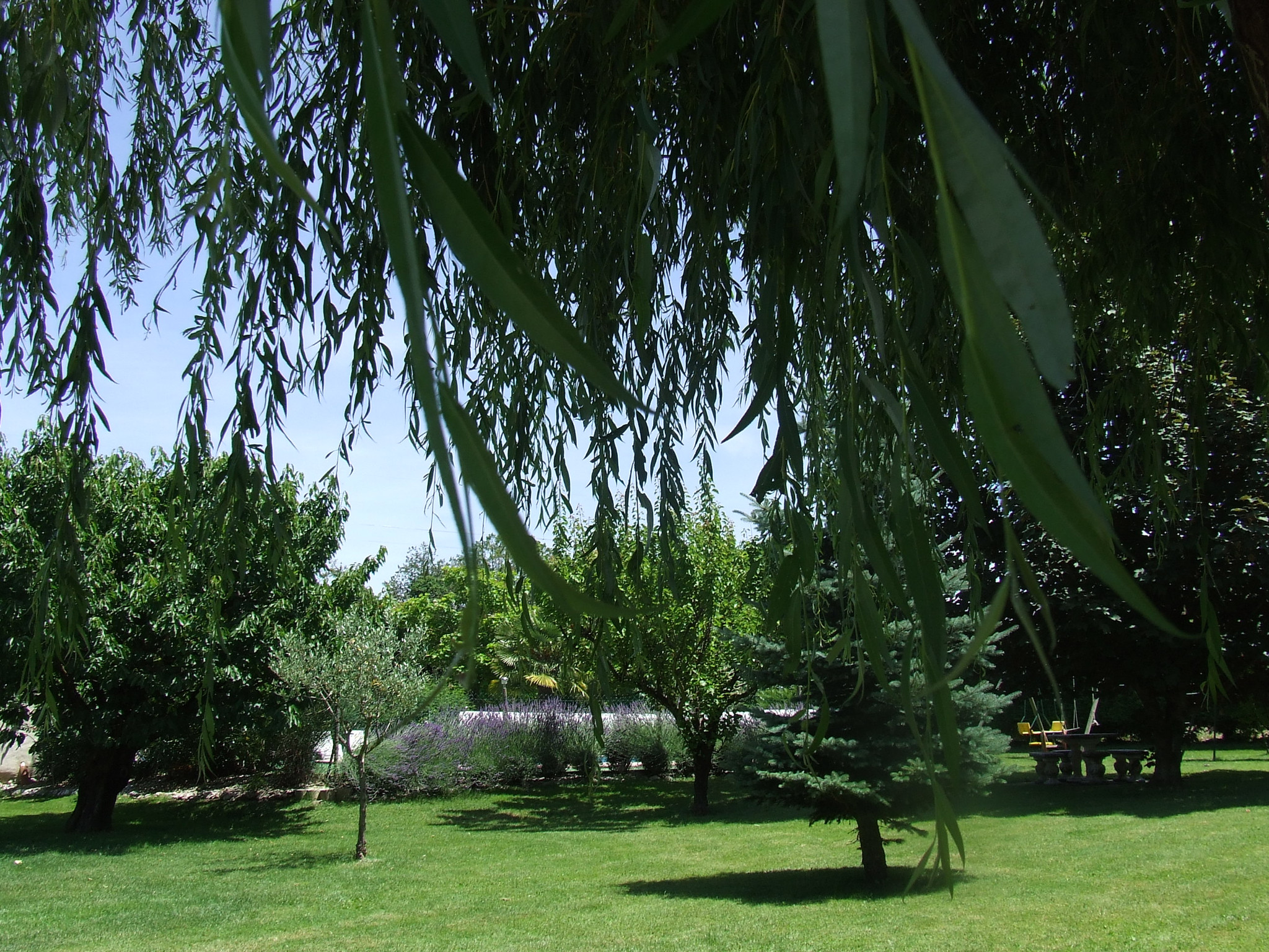 GreenGo location vacances écoresponsables