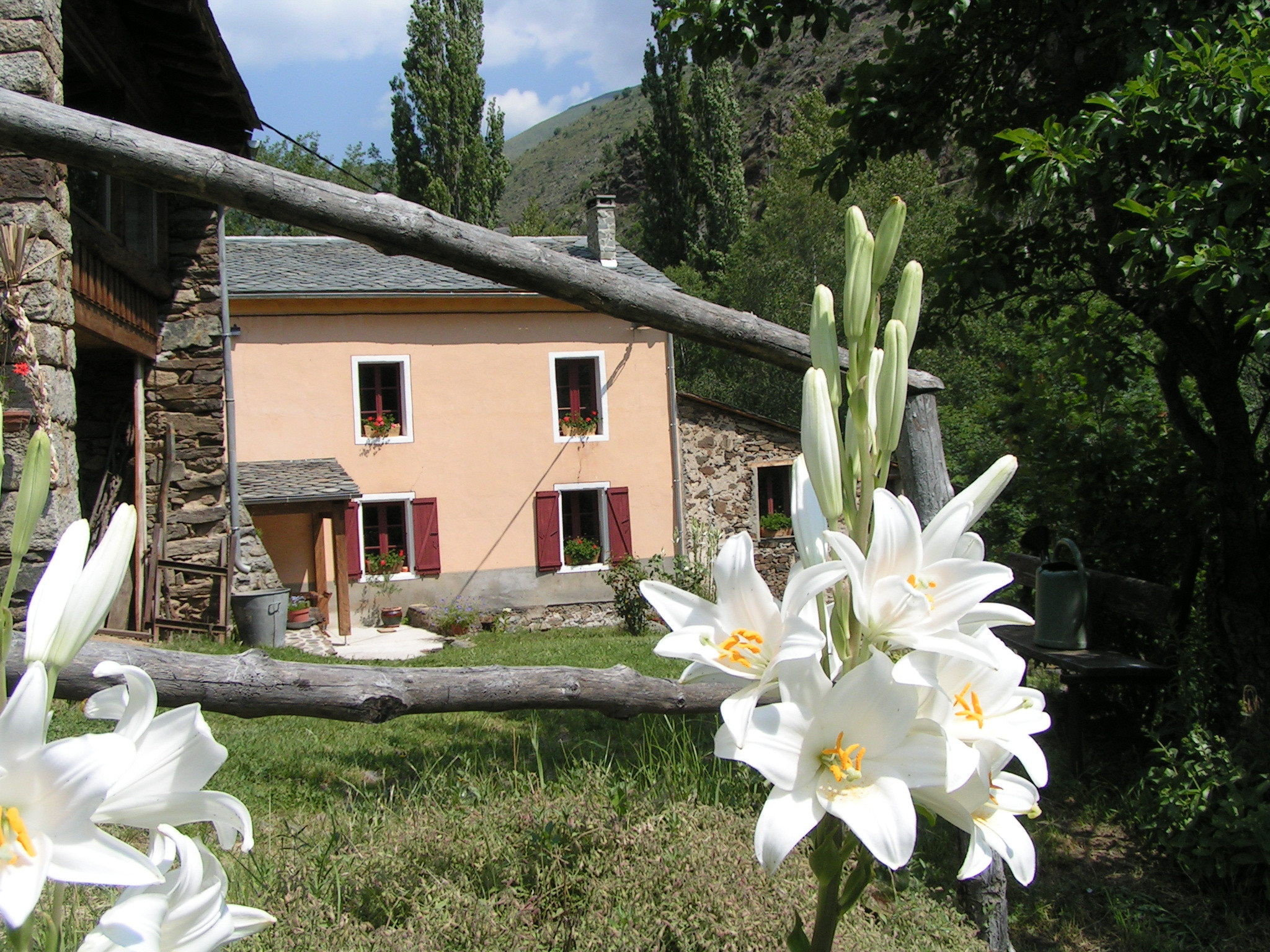  Pyrénées-Orientales En forêt