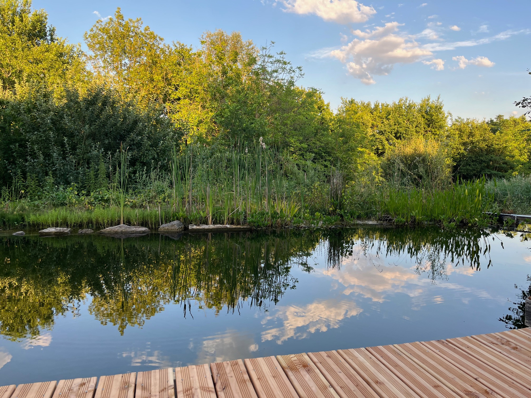 Le Chant du Temps