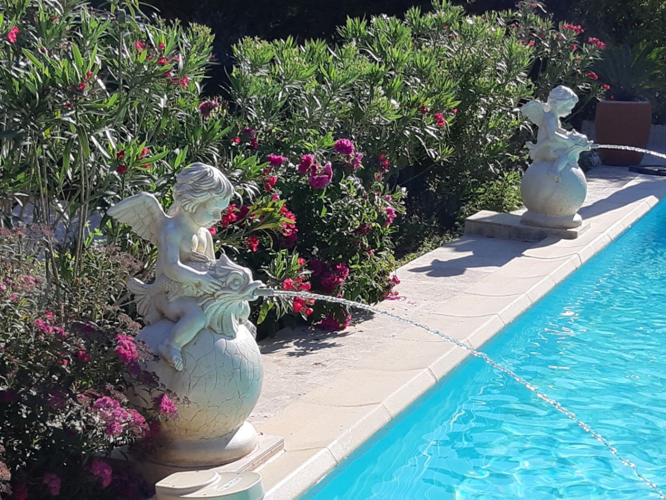 GreenGo location vacances écoresponsables