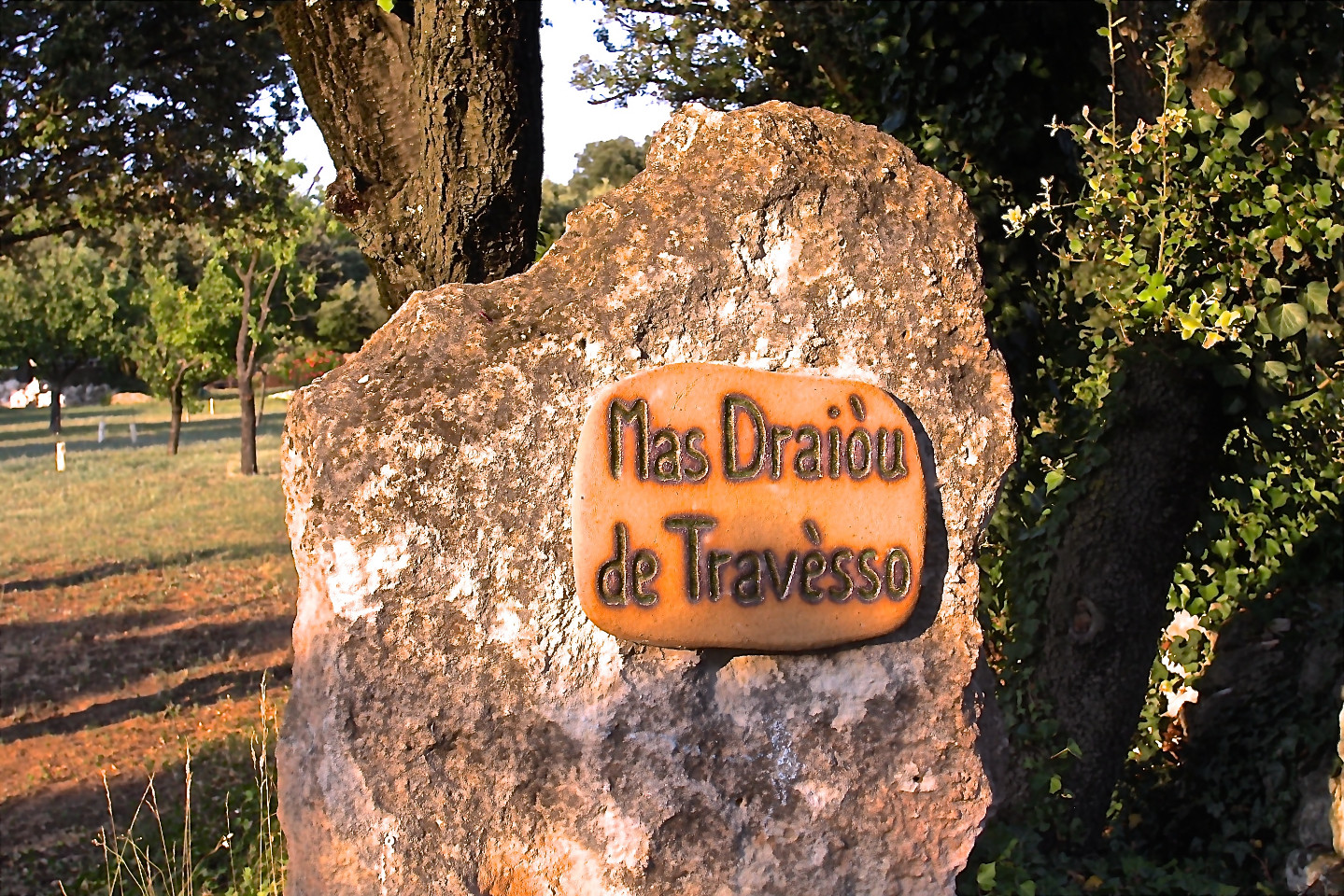 GreenGo Gîte Auvergne-Rhône-Alpes Évasion