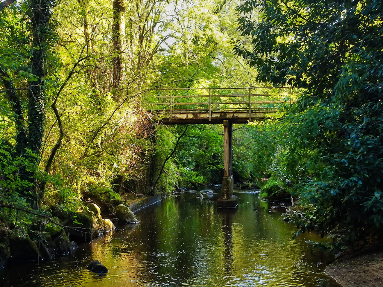 GreenGo La Selva
