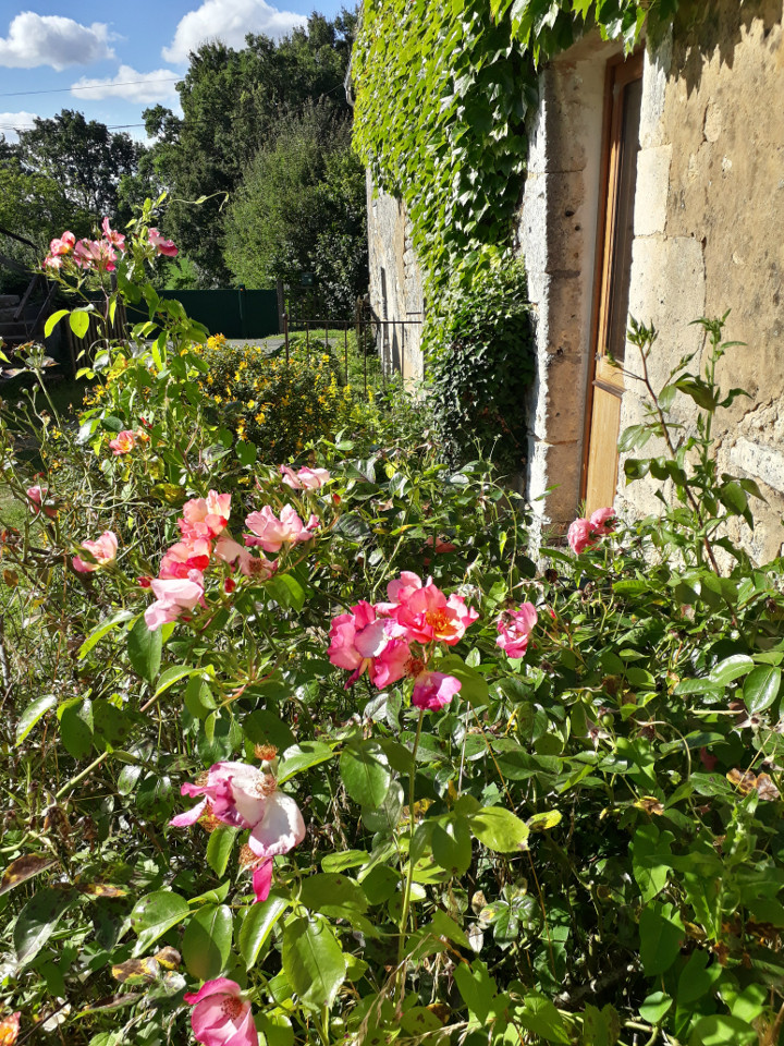 GreenGo location vacances écoresponsables